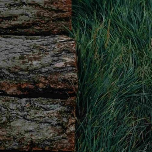  همه ماندن همه خواندن به هوای یاد تو ماندن