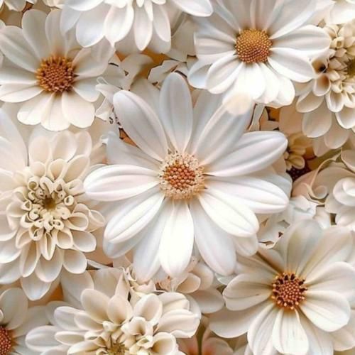  چه غمگین باشه چه شاد دلم دلک زده واسه چشات