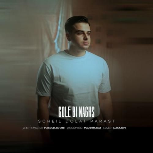 سهیل دولت پرست گل بی نقص