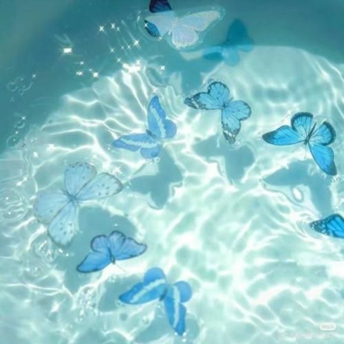  گفتی که میخوای بری سر و سامون بگیری