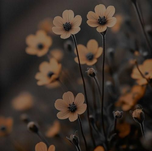  زندگی آی زندگی یه بار امونم بده – هوش مصنوعی