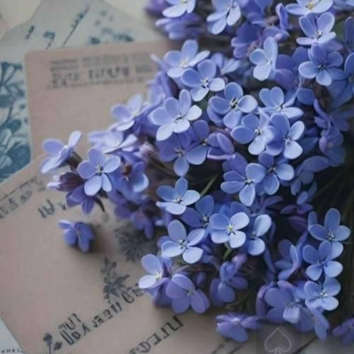  امشب پلیم پارتیا دخی ناز داره مثل باربیا