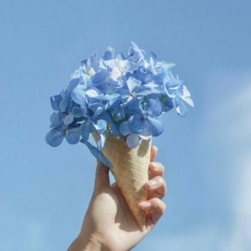  ساده بودی مثل سایه مثل شبنم رو شقایق مثل لبخنده