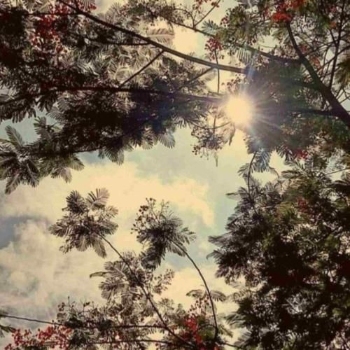  اندازه ستاره های آسمون میخوامت آخه عاشقم