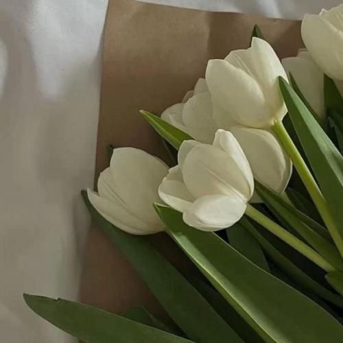  مارو شبا میبینید چون که ستاره ایم