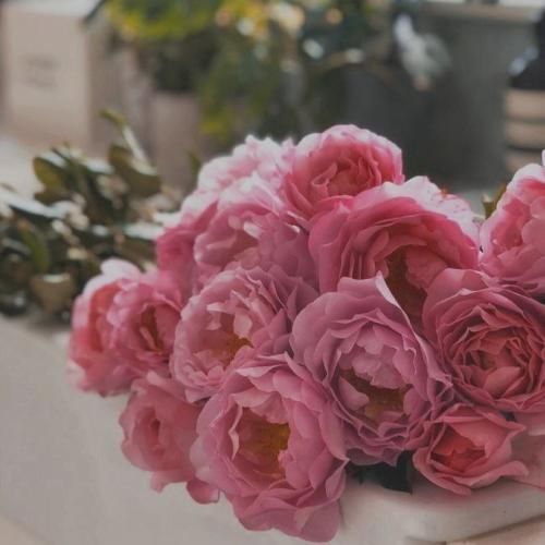  مامان قول میدم دستتو تا آرنج طلا میکنم