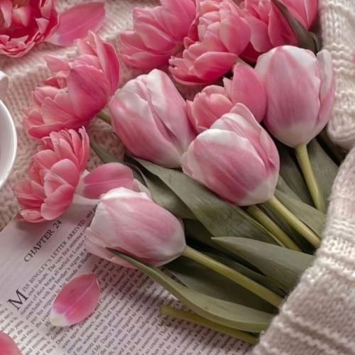  نگفتی نباشی پس من چی نترس هیچکی تو قلبم نی