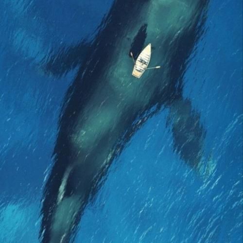  عشق پرشه جای ترس دل خوش جایی هست