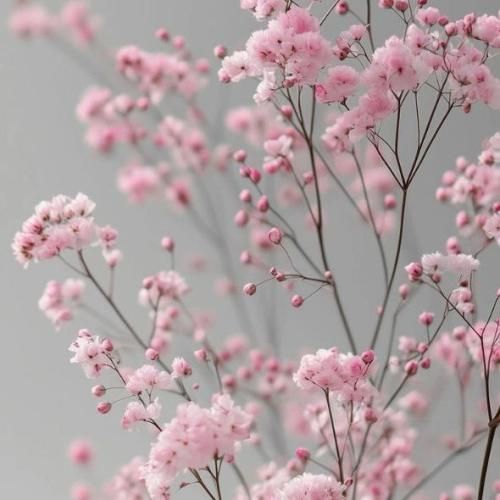  این زندگی تلخه بازیه که تو فصلاش فقط کم داشت تورو