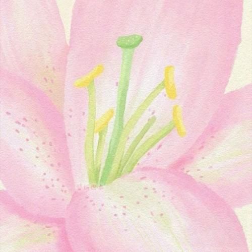  اینقد دورم شلوغه انگار انگار تو شب کریسمسم