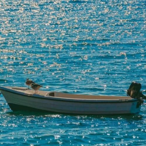  خوشگل ترین خوشگل دنیایی تو اگه اینو خوب بفهمی