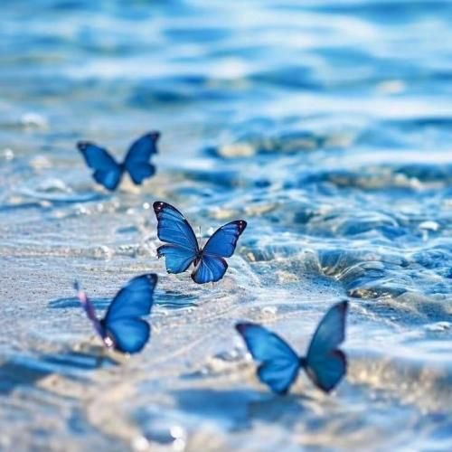  هیچکدومتون بهم راستشو نگفتید نه دیگه