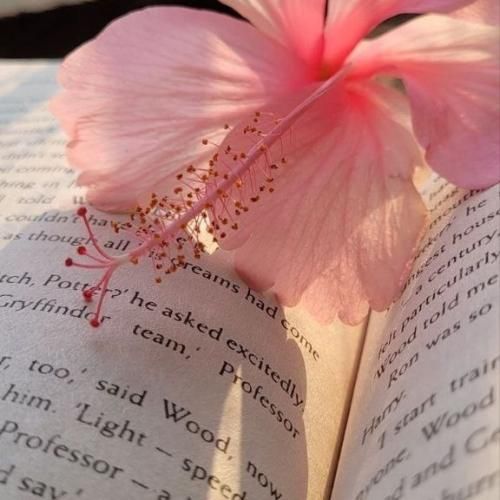  زدی زیر قولت بیبی بیبی ندارم بت دیگه میلی میلی