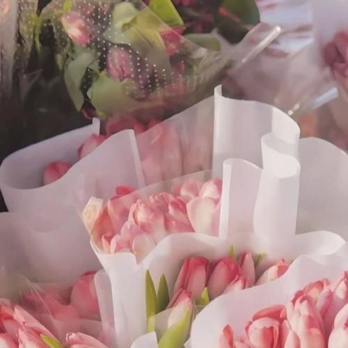  بدنم کوفتس و استایلم چپ و چوله چیزی لود نمیشه