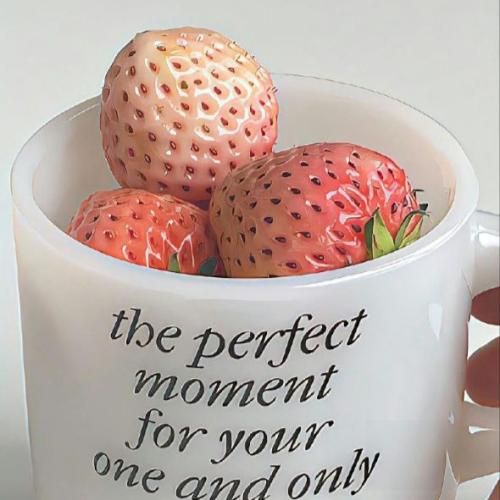  زندگی بی ریسک نمیده بم فازی