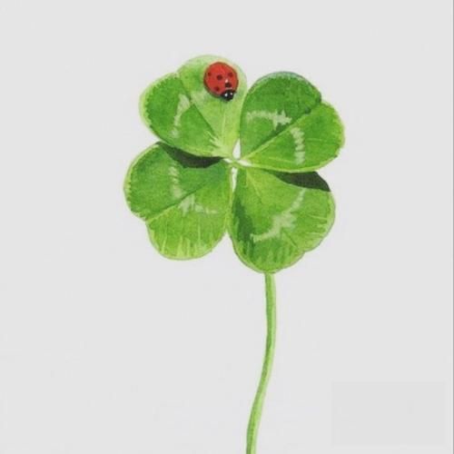  وقتی سعی میکردم صدام نلرزه از رو درد