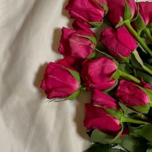  نجنگ با من که میکنم جنگ برات