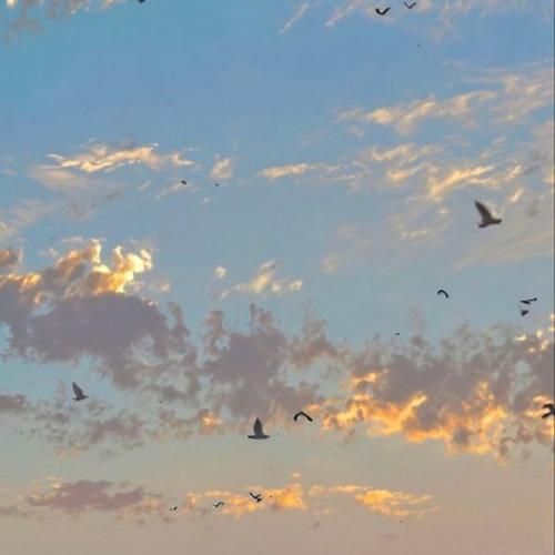  خودتو به من ننداز چی میخوای از من باز