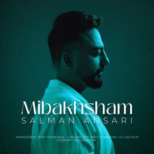 سلمان انصاری میبخشم