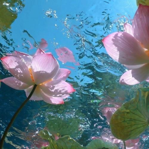  چی میگنو ول کن چی داری مهمه همه خوابن و بیداری مهمه