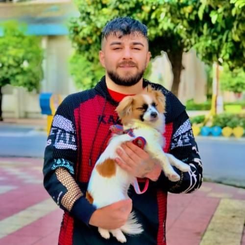 مهدی آبگون کراش