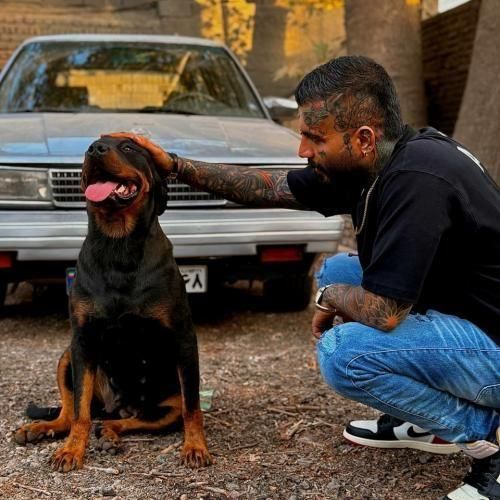 آهنگ جدید یکی نیازمه از مهدیار آهنگ جدید یکی نیازمه از مهدیار