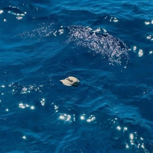  باز شد آخر هفته میریم با تو بعده افتر هرچی رو میزه رفته