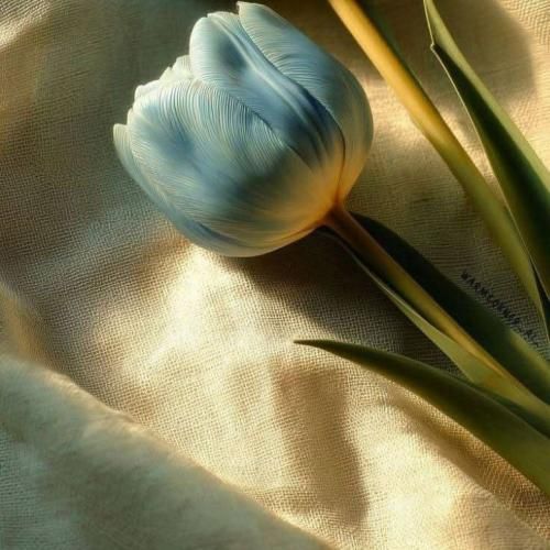  همه قفلن همه بی کلید پر توقع پرو چش سفید