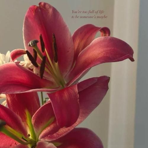 دانلود آهنگ تو من را نشاندی کنار نگاهت به خنده تو گفتی