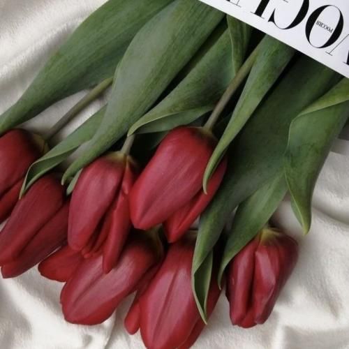  تقصیرو خودم گردن میگیرم میخورم زمینو هی