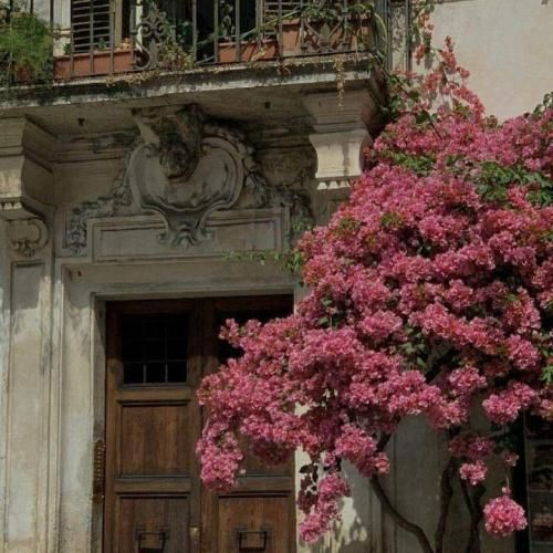  امشب این مسکنا هم کم نکرد آتیشمو (هوش مصنوعی)