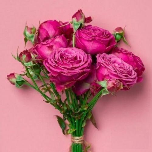  چی بخونم واستون خودتون آهنگین