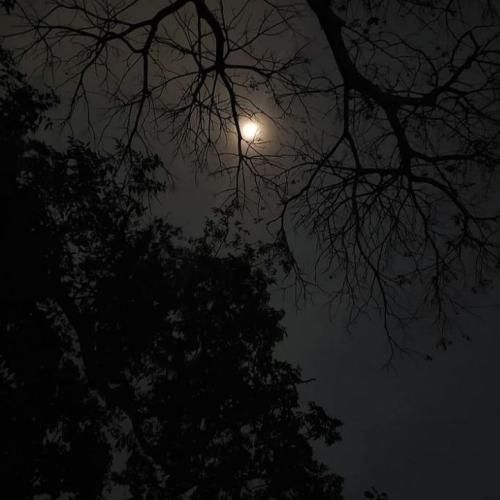 دانلود آهنگ من جونمو دادم ایرانمو بده وضو با خون میگیره