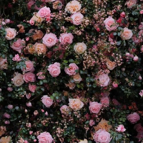  تا دست یافتن رو اسب تاختن کاخ هارو سوزوندن