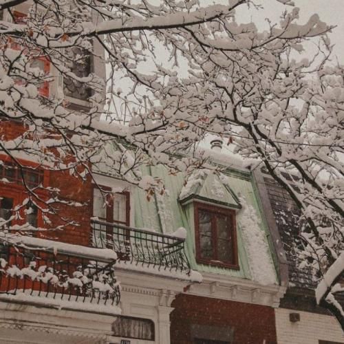 دانلود آهنگ وطن زخمامون مشترکه درد همه است